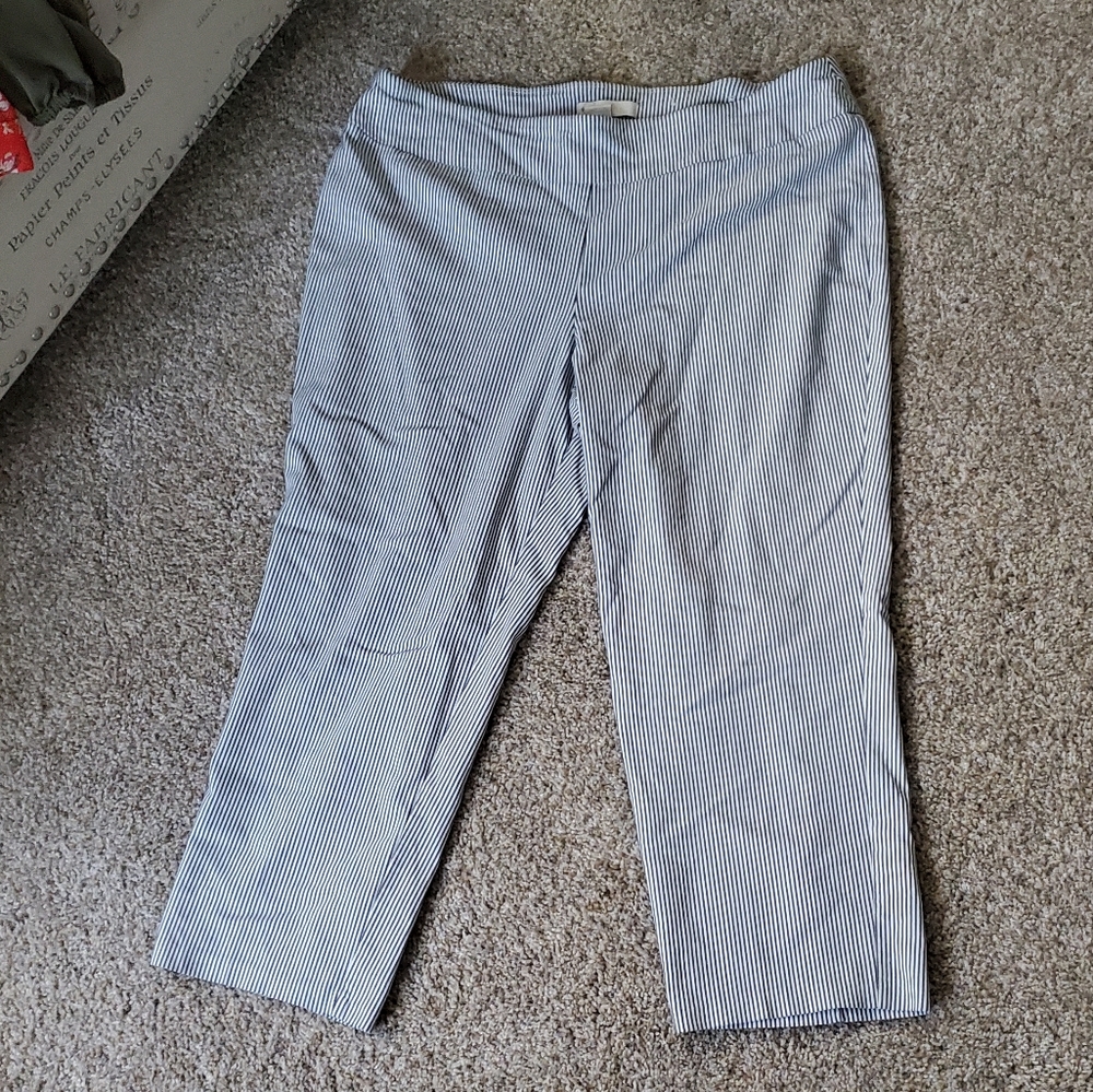 Dress Barn striped pull-on capris size 14